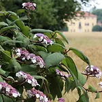 אתר נופש Il Torrione