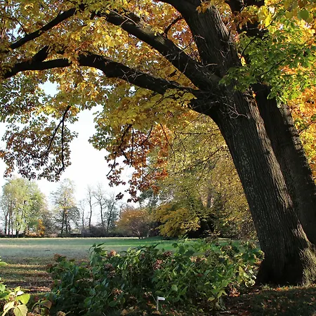 Il Torrione Pinerolo