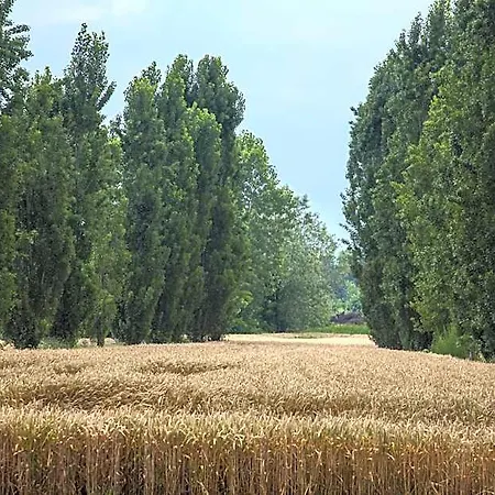 Il Torrione منتجع بينيرولو