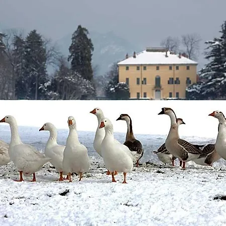 Il Torrione 3*